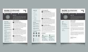 pulito curriculum vitae disposizione con copertina lettera CV design vettore