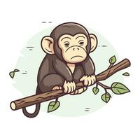 scimmia seduta su un' ramo. vettore illustrazione nel cartone animato stile.