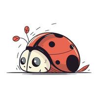 carino cartone animato coccinella. vettore illustrazione isolato su bianca sfondo.