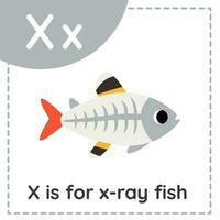 imparare l'alfabeto inglese per bambini. lettera x. pesce a raggi x simpatico cartone animato. vettore
