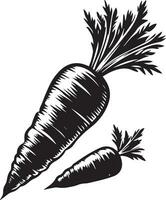 carota vettore silhouette illustrazione nero colore