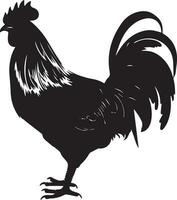 australorp pollo vettore silhouette illustrazione nero colore