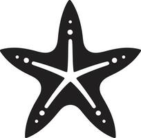 stella marina vettore arte guida sguinzagliare creatività mare brezza ispira stella marina vettore collezione