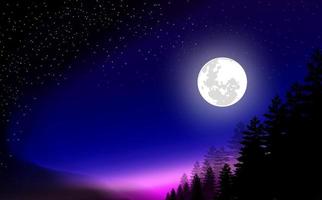 immagine vettoriale illustrazione notte di luna piena nella foresta