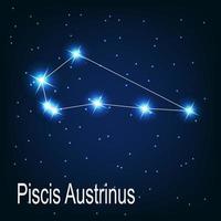 la stella della costellazione piscis austrinus nel cielo notturno. vettore