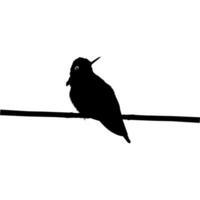 arroccato colibrì silhouette, può uso arte illustrazione, sito web, logo grammo, pittogramma o grafico design elemento. vettore illustrazione