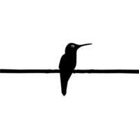 arroccato colibrì silhouette, può uso arte illustrazione, sito web, logo grammo, pittogramma o grafico design elemento. vettore illustrazione