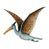 Marrone e blu acquerello pterodattilo. pterosauro con largo Ali a partire dal dinosauro era vettore illustrazione