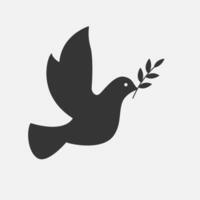 colomba uccello Tenere oliva ramo icona. simbolo di pace. Piccione sulhouette. vettore