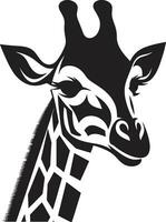 savana serenità nel nero vettore design grazioso giraffa sguardo emblema arte