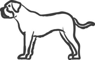bullmastiff cane mano disegnato vettore illustrazione