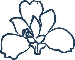iris fiore mano disegnato vettore illustrazione