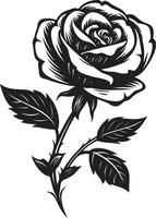 senza tempo rosa eccellenza nero logo arte semplicistico floreale silhouette emblematico rosa icona vettore