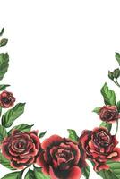 rosso nero rosa fiori con verde le foglie e mini cuffie, elegante, luminosa, Bellissima. mano disegnato acquerello illustrazione. modello su un' bianca sfondo, per decorazione e design vettore