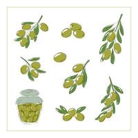 verde oliva rami vettore illustrazione, olive in scatola nel un' barattolo. isolato vettore illustrazione su un' bianca sfondo.