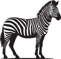 zebra animale vettore silhouette 5