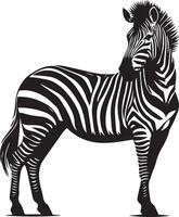 zebra animale vettore silhouette 7