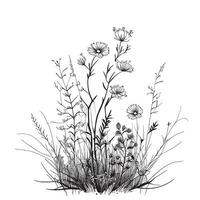 campo di fiori selvatici schizzo , mano disegnato nel scarabocchio stile vettore illustrazione