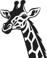 africano savana bellezza giraffa vettore grafica sbalorditivo giraffa ritratti nel vettore modulo