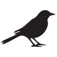 uccello nero silhouette uccello vettore