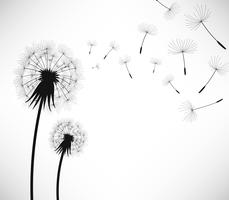 Dandelion Wind Blow Flower. vettore