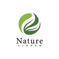 modello di progettazione di vettore di logo della natura. icona foglia