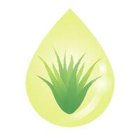 aloe Vera estratto vettore isolato su bianca sfondo. far cadere di aloe Vera olio estratto con le foglie di aloe pianta. biologico estratto, medicinale pianta e naturale olio illustrazione concetto.