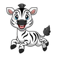 simpatico cartone animato zebra su sfondo bianco vettore