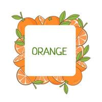 arancia sfondo etichetta vettore