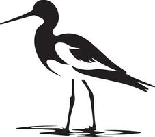 avocetta uccello vettore silhouette illustrazione nero colore