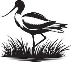 avocetta uccello vettore silhouette illustrazione nero colore