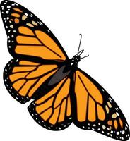 un' monarca farfalla vettore