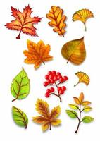 illustrazione stabilita di vettore delle foglie dell'acquerello di autunno