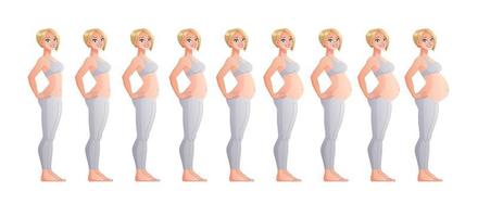 fasi della gravidanza mese per mese illustrazione vettoriale