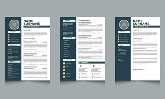 vettore creativo professionale curriculum vitae CV modello