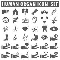 vettore di set di icone di organi umani