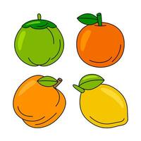 frutta oggetti vettore illustrazioni impostato
