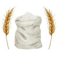 Farina nel un' tela Borsa e orecchie di Grano. cereale. acquerello illustrazione. isolato. cottura al forno ingredienti. forno. culinario clipart per cibo blog, design di etichette e confezione di merce, carte vettore