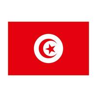tunisino bandiera. tunisia bandiera. vettore. vettore