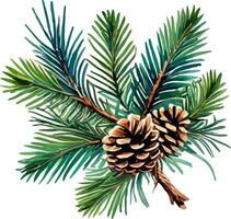 pino rami e coni, aghi su bianca sfondo, mano digitale disegno, acquerello stile, decorativo botanico illustrazione per disegno, Natale albero, vettore