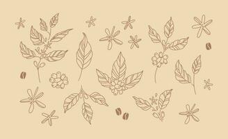 caffè rami e fiori. mano disegnato linea arte disegni di caffè le foglie e steli. pianta. natura. etichetta, icona, logo, emblema vettore