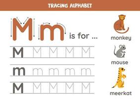 tracciato tutti lettere di inglese alfabeto. prescolastico attività per bambini. scrittura maiuscolo e minuscolo lettera m. stampabile foglio di lavoro. carino illustrazione di scimmia, topo, Meerkat. vettore