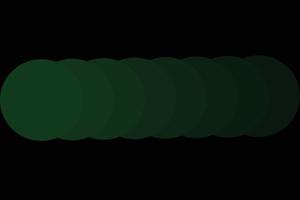 sfondo scuro con vettore di cerchio sfumato verde