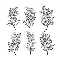 di moda botanico elementi, mano disegnato linea le foglie rami e fioritura vettore