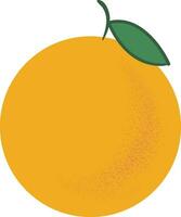 arancia nel giallo colore vettore o colore illustrazione