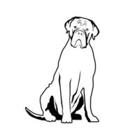 bulldog logo modello, bulldog logo elementi, bulldog Casa vettore