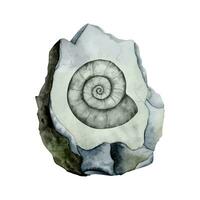 ammonite fossile su grigio pietra acquerello vettore illustrazione. preistorico scientifico realistico disegno