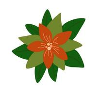 Natale poinsettia fiore. inverno di stagione fogliame pianta. Natale vacanza naturale elemento. piatto vettore illustrazione isolato su bianca sfondo