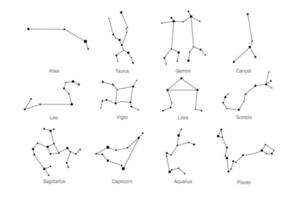 disegno dello zodiaco. set di oroscopo vettore