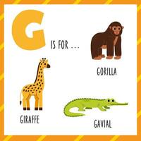 apprendimento inglese alfabeto per bambini. lettera g. carino cartone animato gorilla giraffa gaviale. vettore